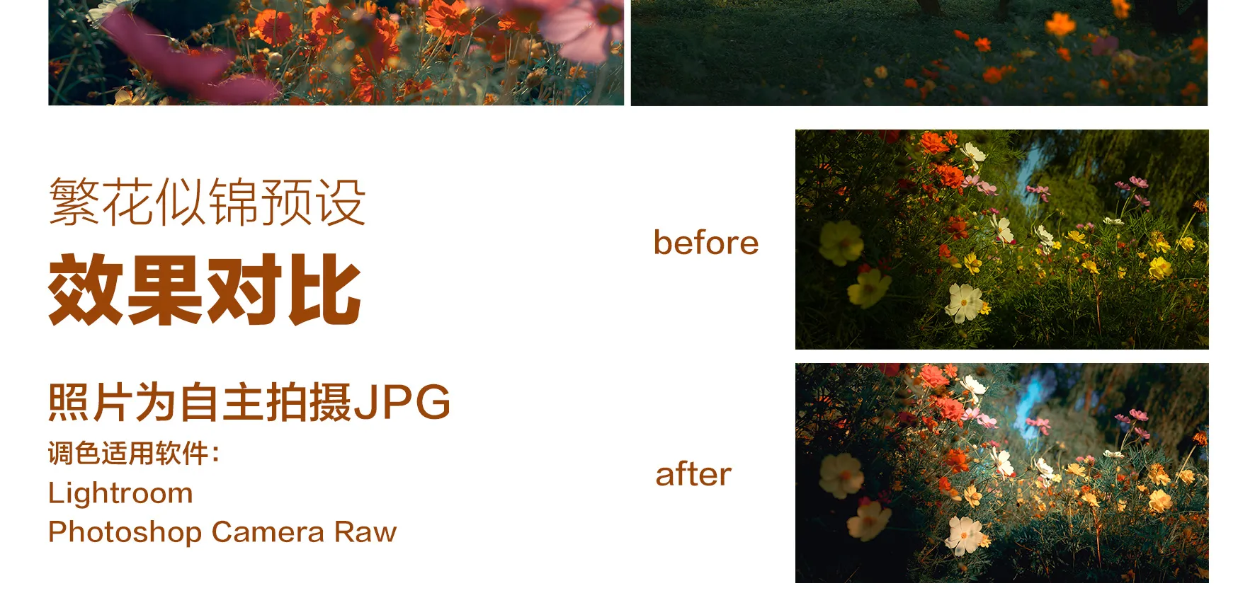 shopthietke com Shopthietke.com 482