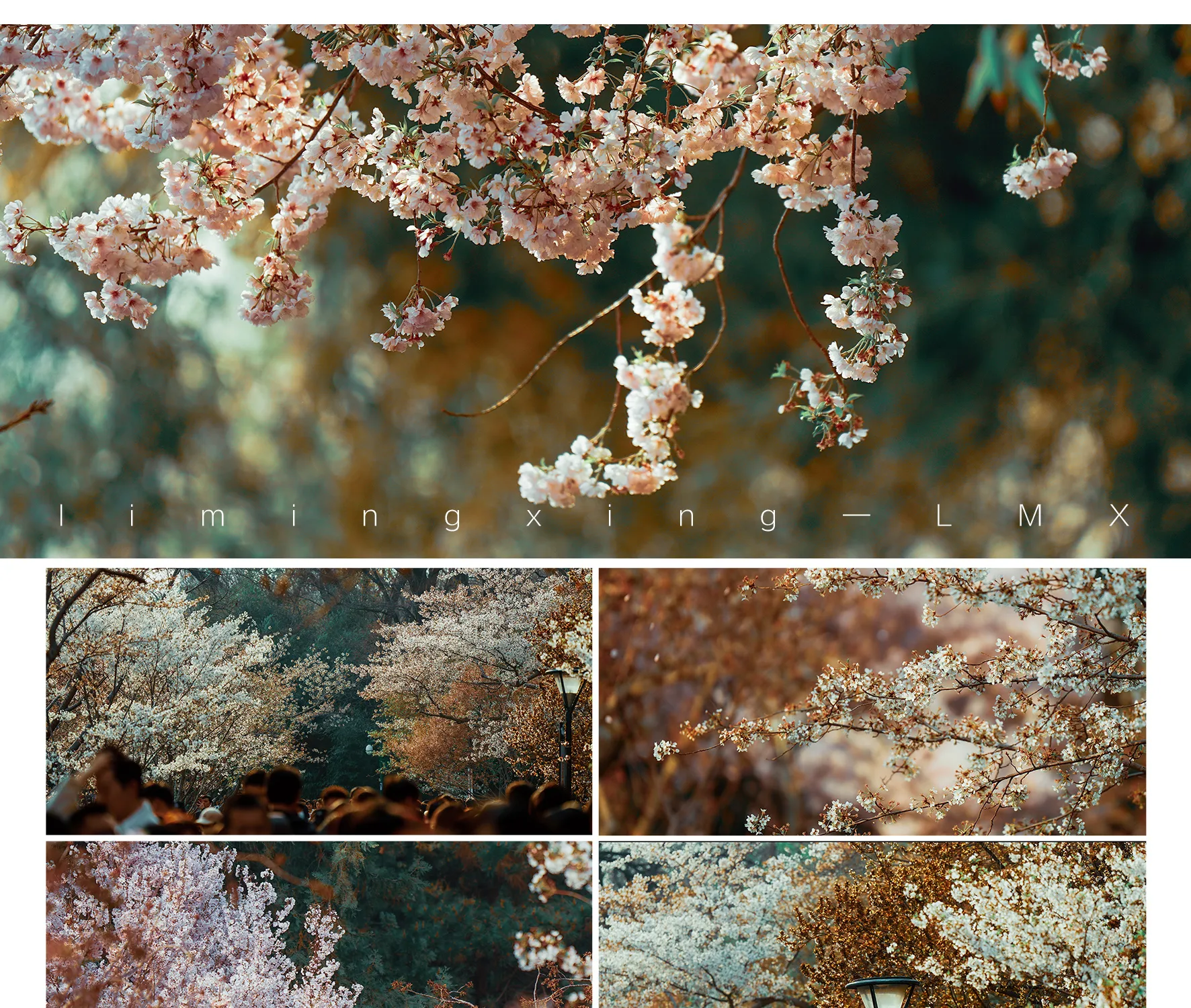 shopthietke com Shopthietke.com 483