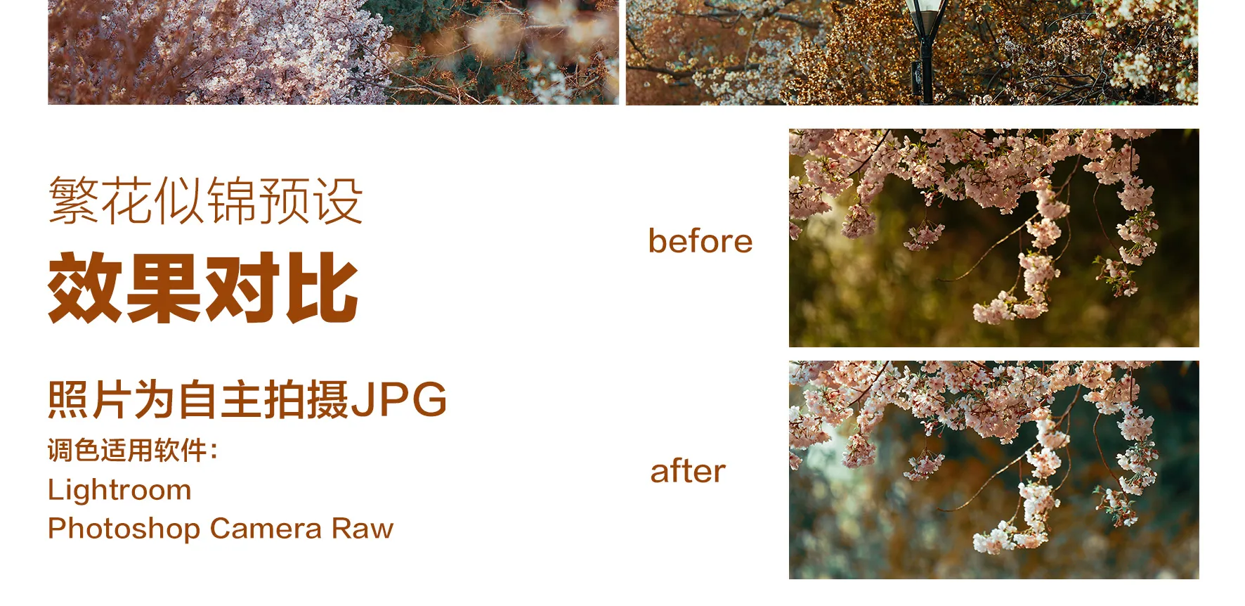 shopthietke com Shopthietke.com 484