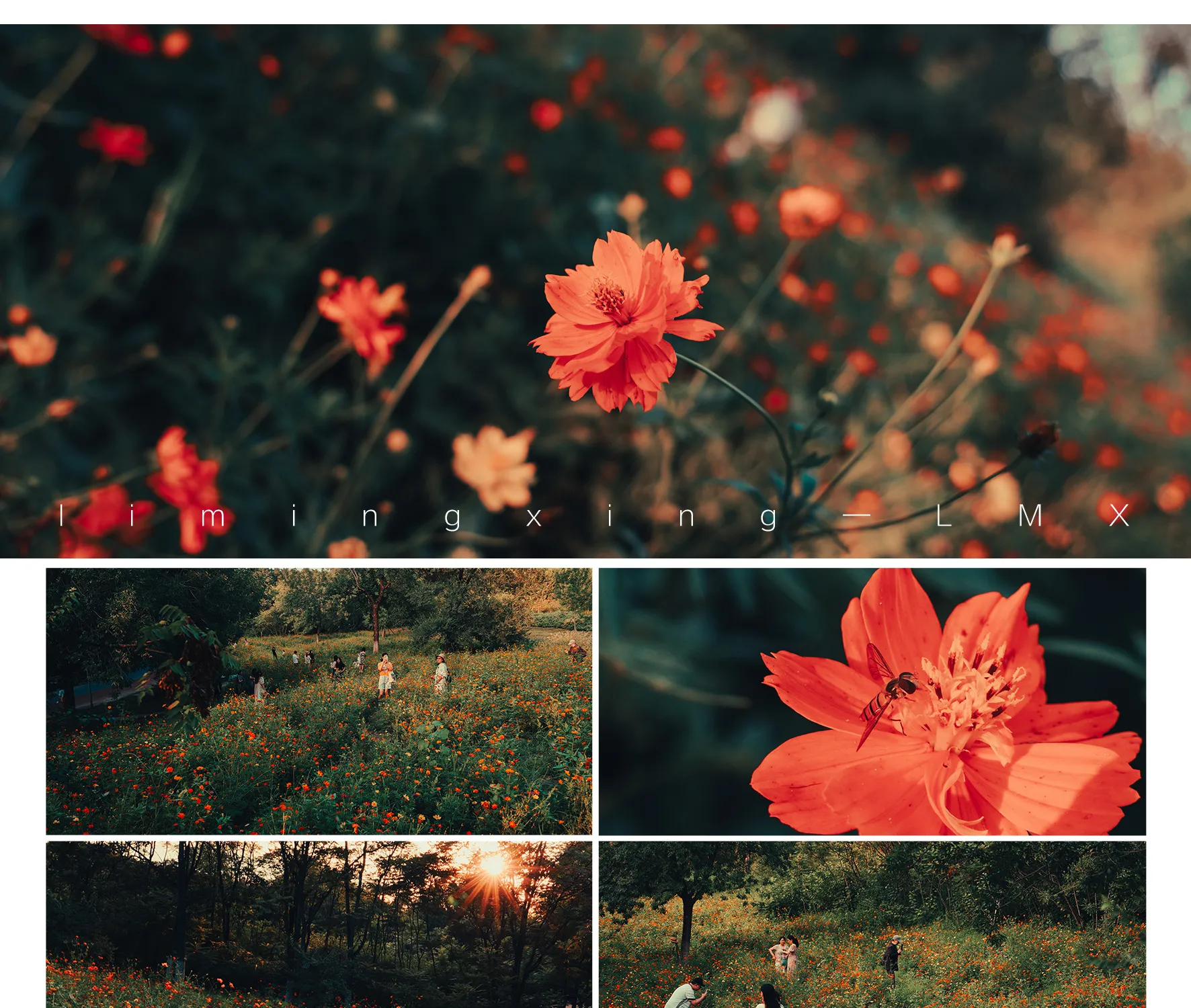 shopthietke com Shopthietke.com 485