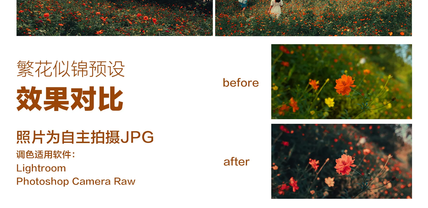 shopthietke com Shopthietke.com 486