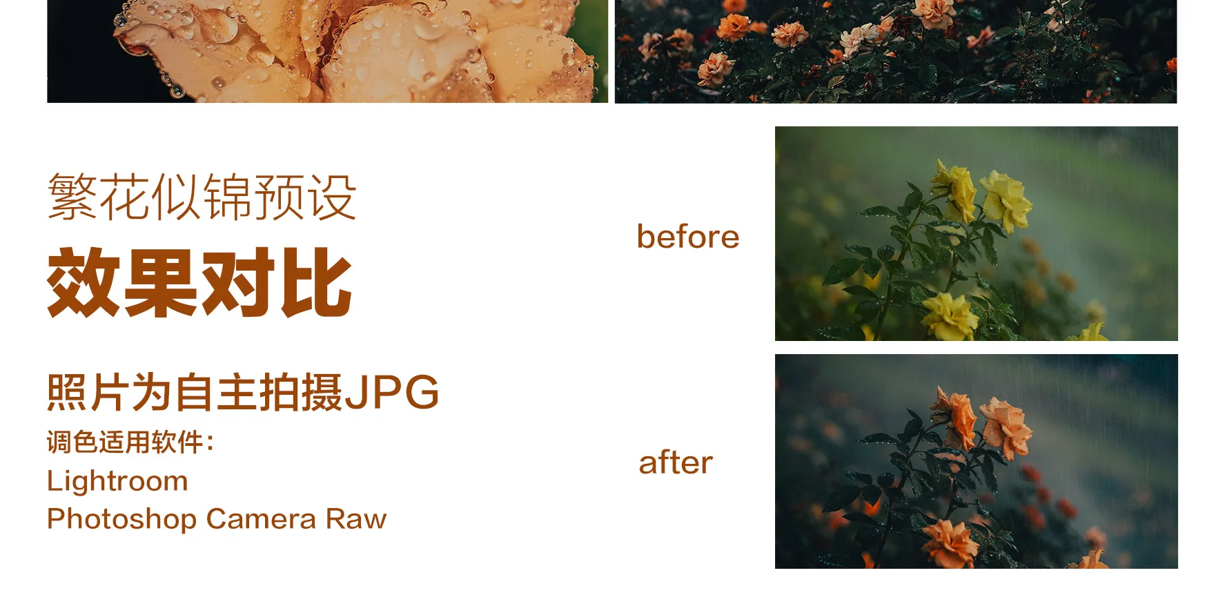 shopthietke com Shopthietke.com 488