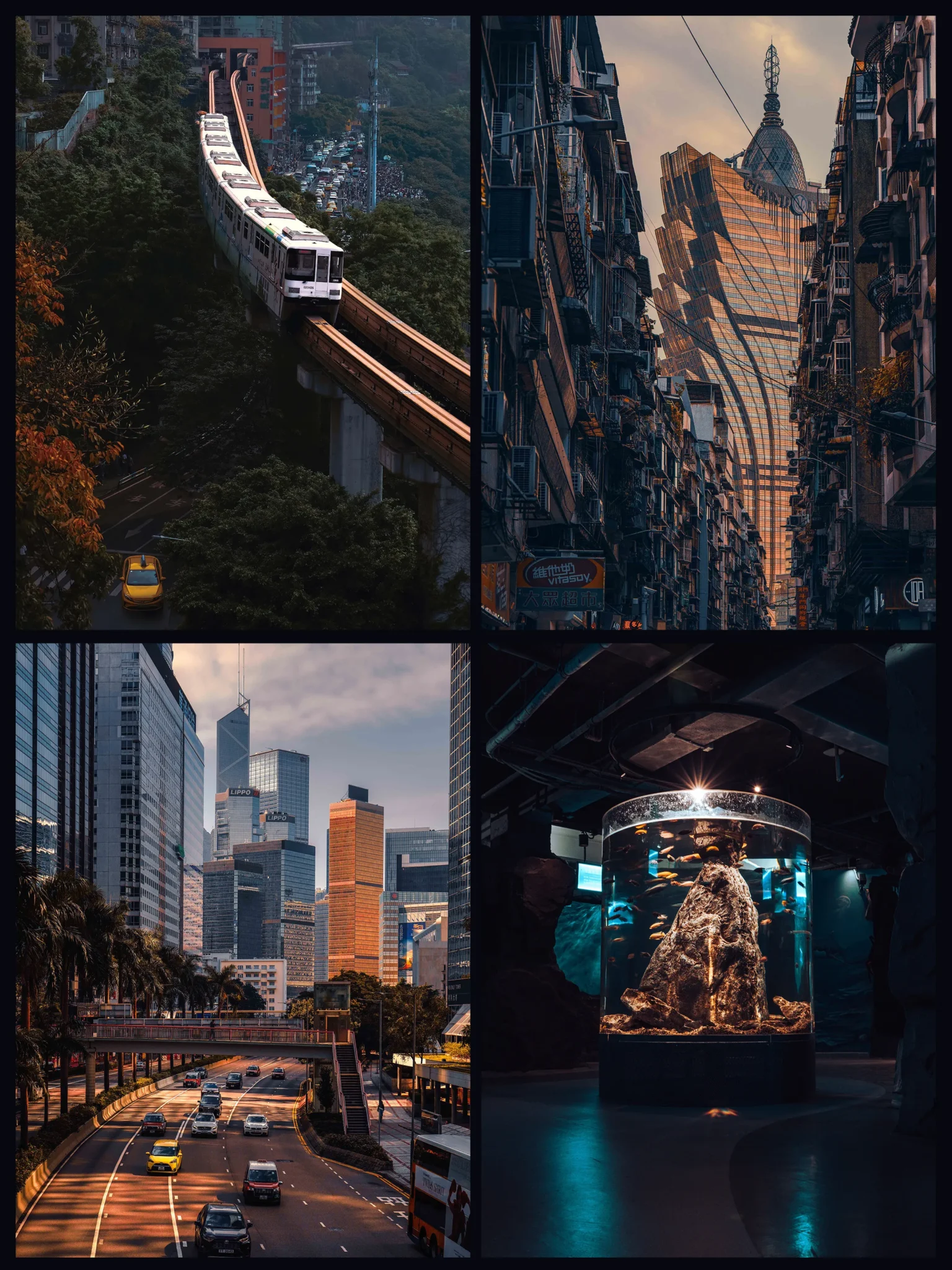 shopthietke com Shopthietke.com 494 scaled