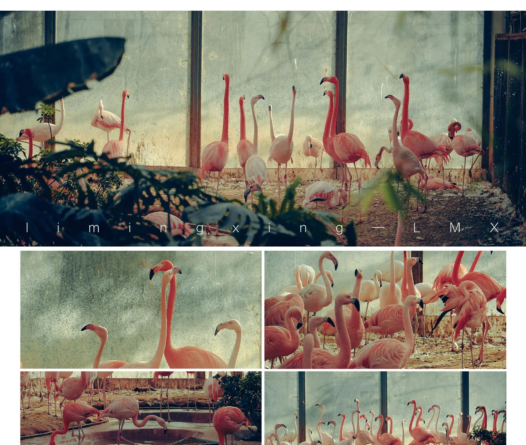 shopthietke com Shopthietke.com 516