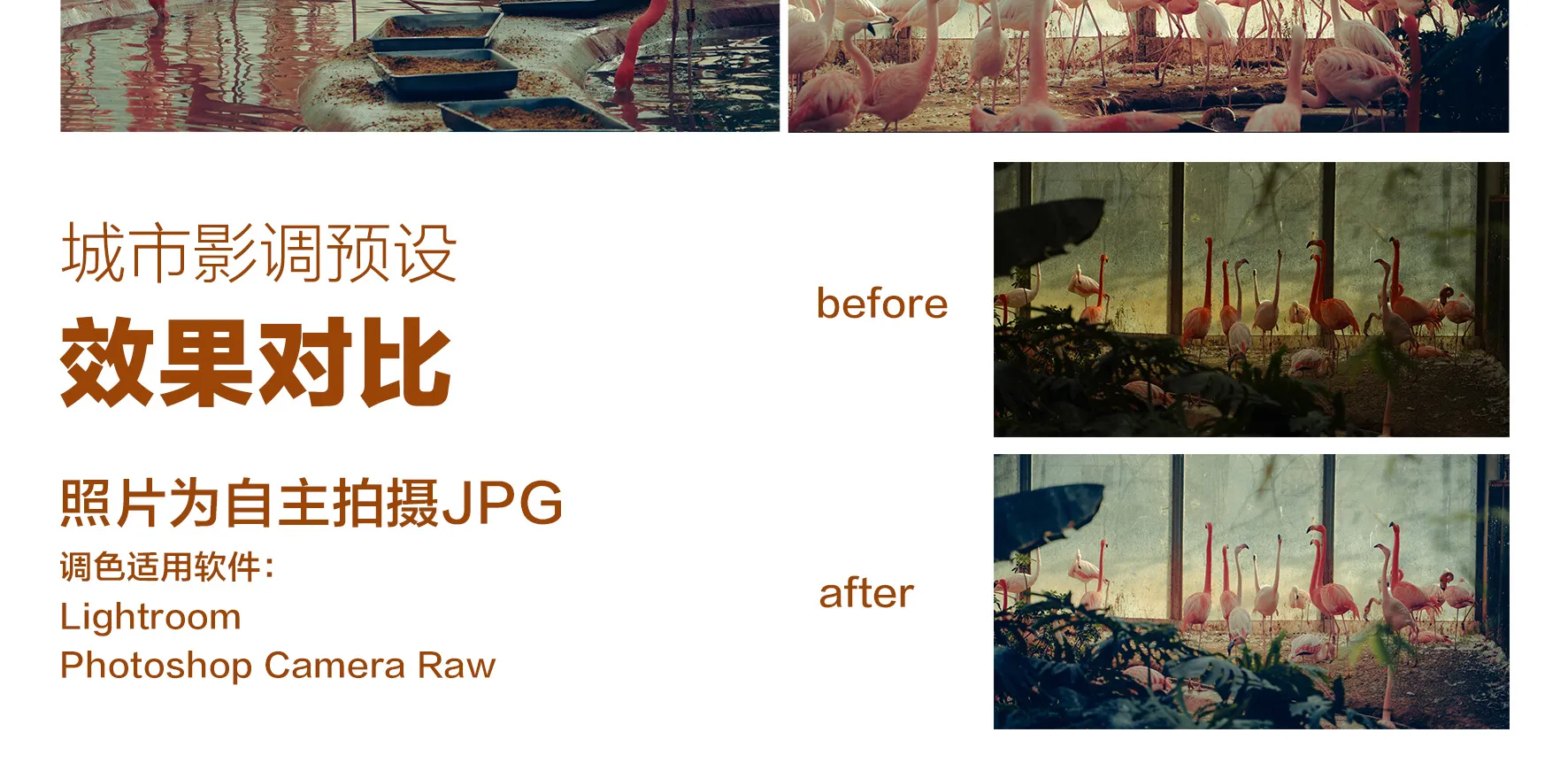 shopthietke com Shopthietke.com 517