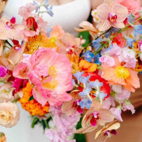 34 Preset Màu Sắc Rực Rỡ – Tông Da Chân Thực Theo Phong Cách Marissa Kelly Photography (XMP) 34 shopthietke com Shopthietke.com 562