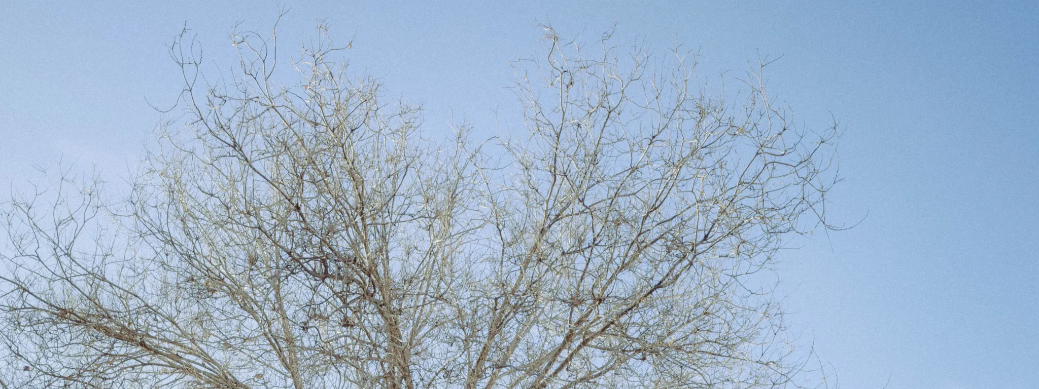 shopthietke com Shopthietke.com 6 scaled