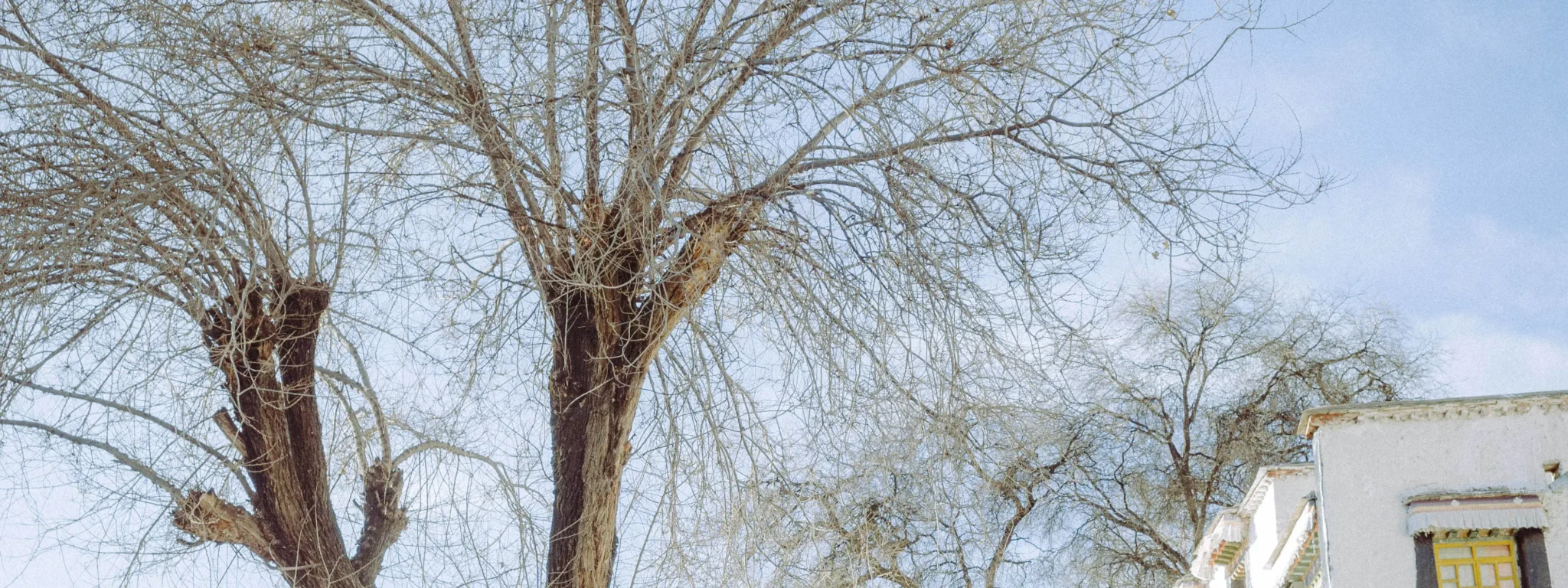 shopthietke com Shopthietke.com 7 scaled