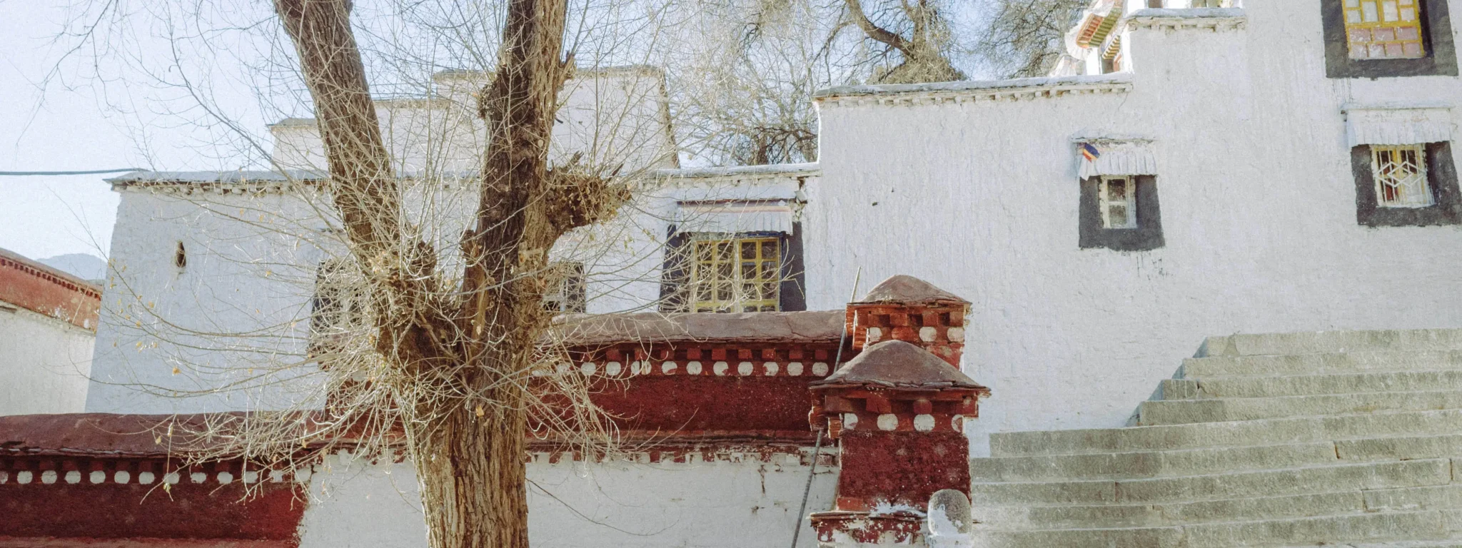 shopthietke com Shopthietke.com 8 scaled