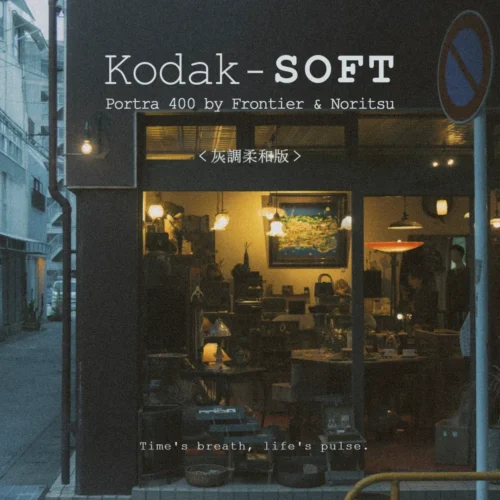 Preset Portra 400 Soft Grey – Tông Xám Mềm Mại Đậm Chất Film Điện Ảnh (XMP)
