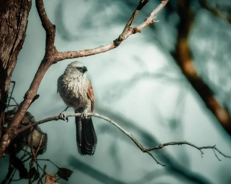 shopthietke com img 1770779373 40