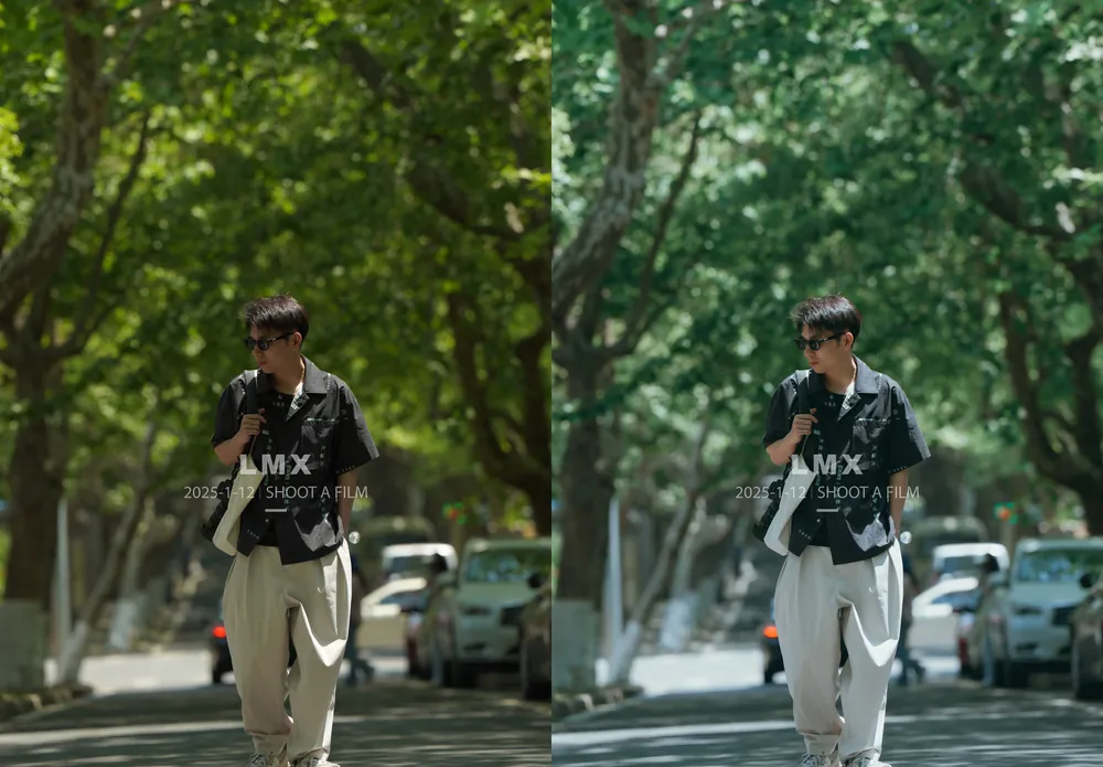 shopthietke com preset chan dung 1