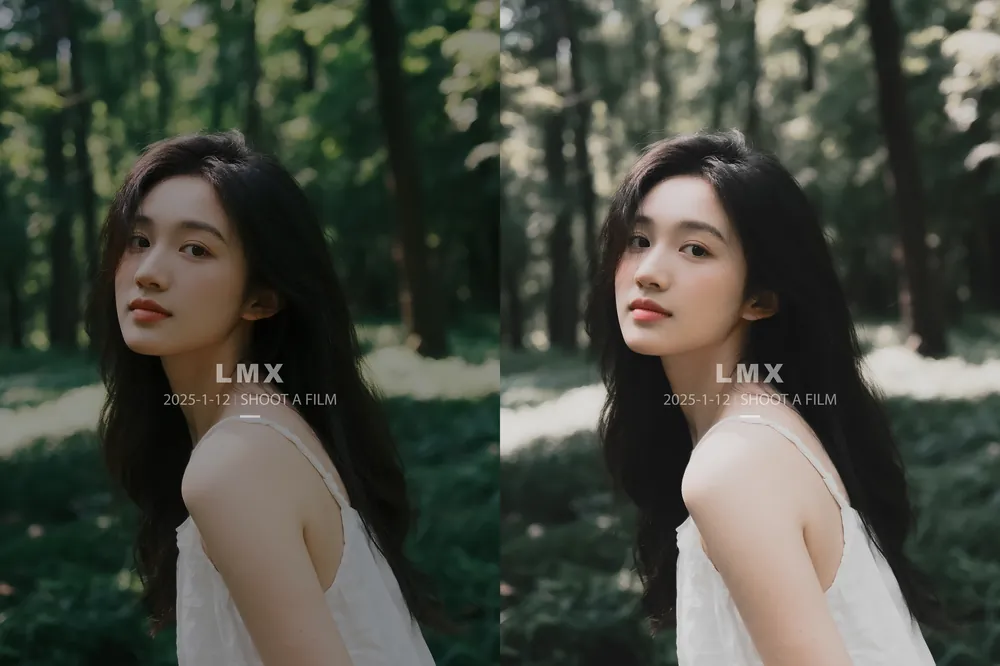 shopthietke com preset chan dung 13