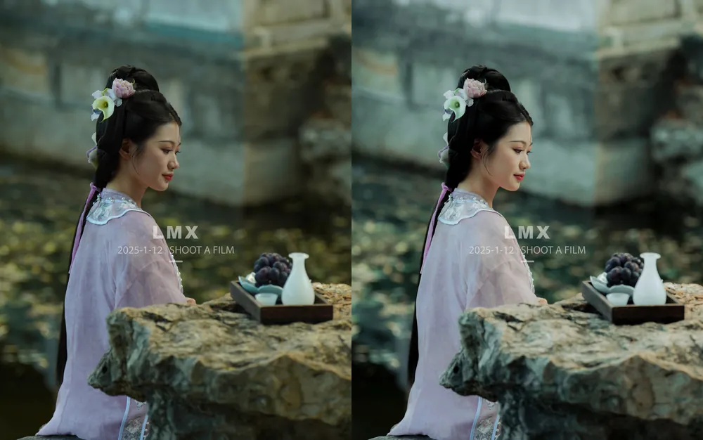 shopthietke com preset chan dung 7