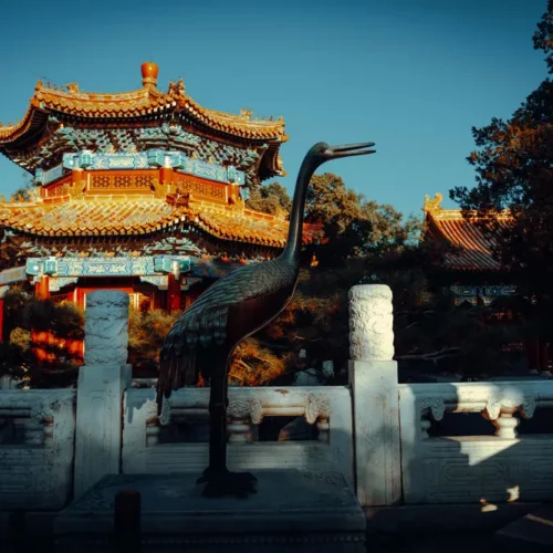 33 Preset Điện Ảnh Cổ Kiến Trúc Từ NAG Lý Minh Tinh – Tông Màu Trầm Sâu Chuẩn Cinematic (XMP/DNG)