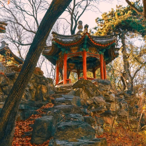 33 Preset Điện Ảnh Cổ Kiến Trúc Từ NAG Lý Minh Tinh – Tông Màu Trầm Sâu Chuẩn Cinematic (XMP/DNG)