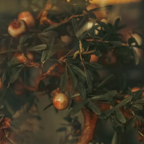 33 Preset Điện Ảnh Cổ Kiến Trúc Từ NAG Lý Minh Tinh – Tông Màu Trầm Sâu Chuẩn Cinematic (XMP/DNG)