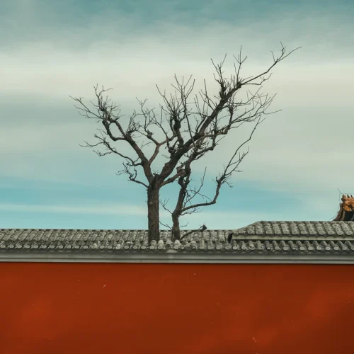 33 Preset Điện Ảnh Cổ Kiến Trúc Từ NAG Lý Minh Tinh – Tông Màu Trầm Sâu Chuẩn Cinematic (XMP/DNG)