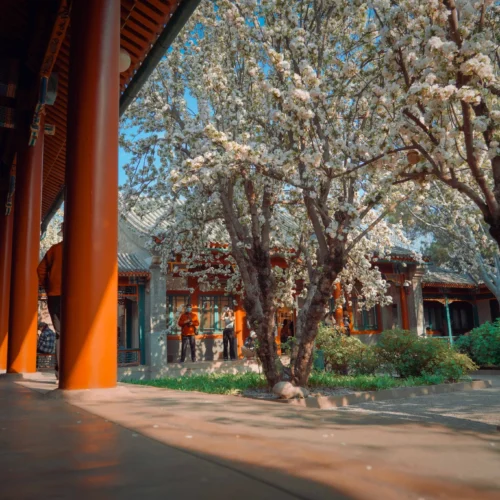 33 Preset Điện Ảnh Cổ Kiến Trúc Từ NAG Lý Minh Tinh – Tông Màu Trầm Sâu Chuẩn Cinematic (XMP/DNG)