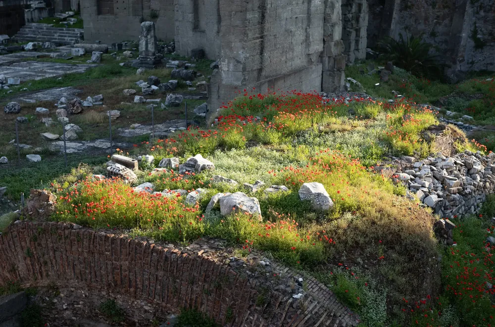 shopthietke com vgpjupiter before 3 web