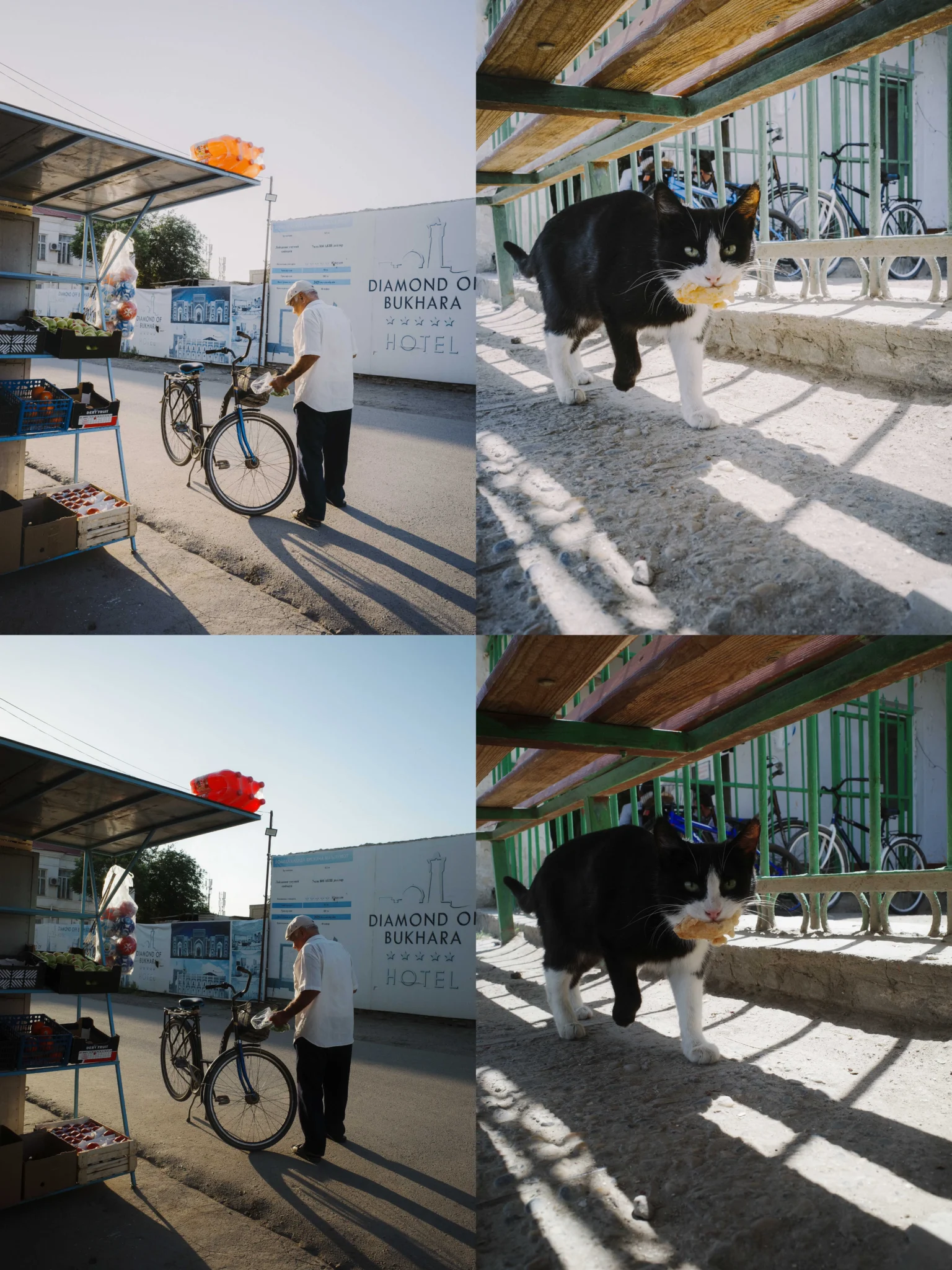 shopthietke com webp scaled