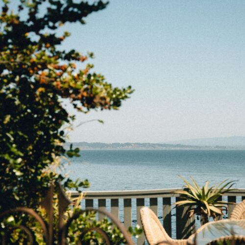 Bộ Preset Film Analog Tông Màu Điện Ảnh – 08 Preset Film Look Cho Lightroom (XMP) 13 shopthietke com 357a1883 2