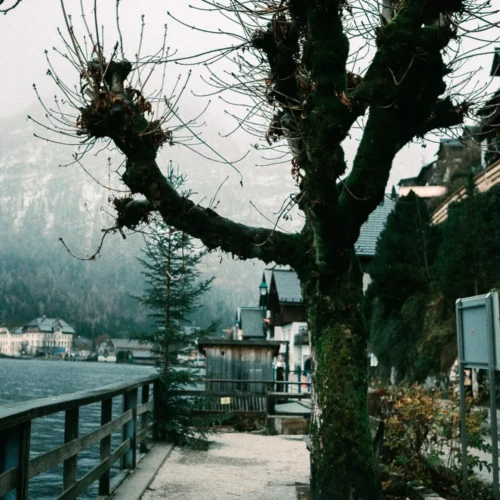 shopthietke com D15spcnx5maqkZOROsZAig web