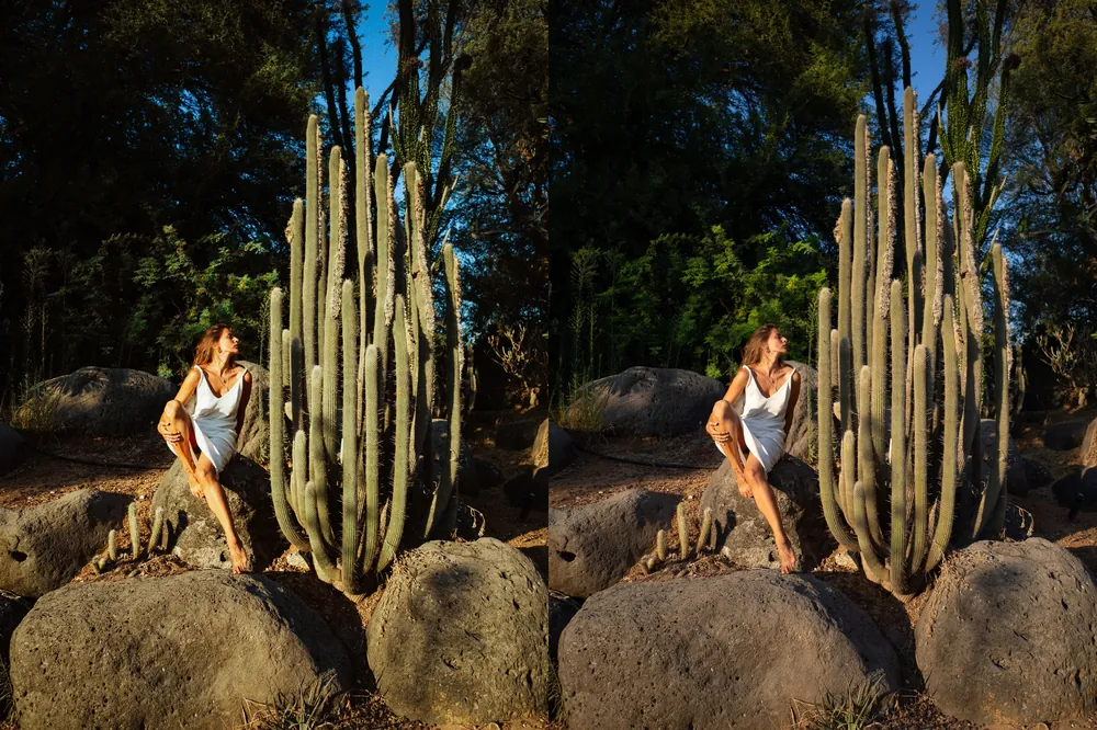 shopthietke com HaQgVvsA4dGUz0LpatDigQ.jpg JUV8UyQGOXD6Ai6fqstm2g web collage