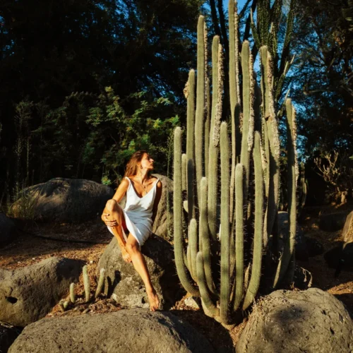 shopthietke com HaQgVvsA4dGUz0LpatDigQ web