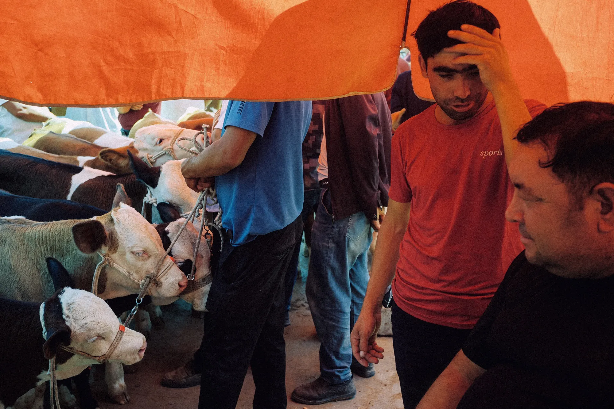 shopthietke com Shopthietke.com 101