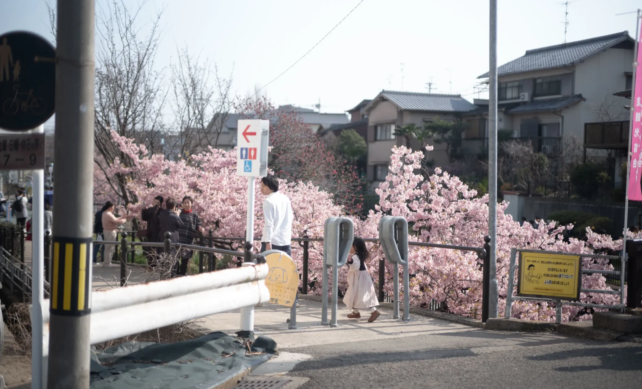 shopthietke com Shopthietke.com 108 scaled