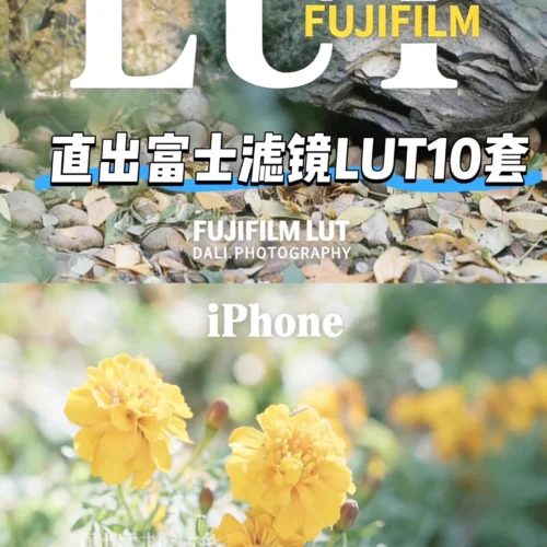 LUT Film Cho iPhone Log – 10 Tông Màu Điện Ảnh Dành Riêng Cho iPhone Pro (CUBE)
