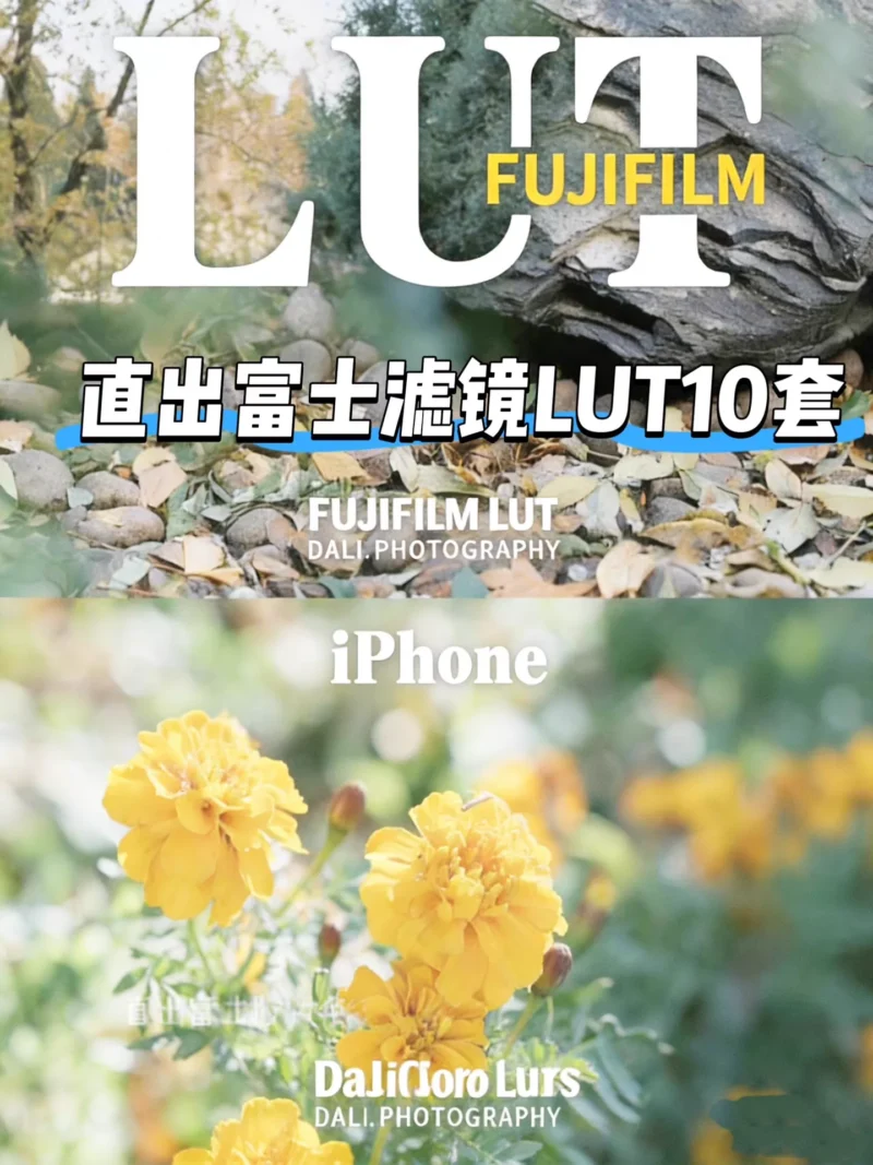 LUT Film Cho iPhone Log – 10 Tông Màu Điện Ảnh Dành Riêng Cho iPhone Pro (CUBE)