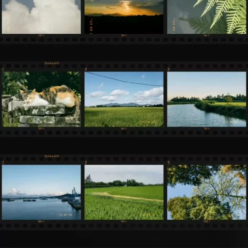 Preset Film Aesthetic 2025 – Bộ 52 Preset Film Nhật Bản Phong Cách App Fimo Mới Nhất (XMP) 33 shopthietke com Shopthietke.com 203