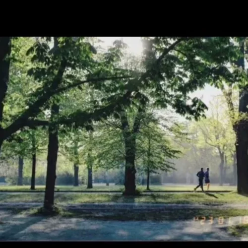 Preset Film Aesthetic 2025 – Bộ 52 Preset Film Nhật Bản Phong Cách App Fimo Mới Nhất (XMP) 28 shopthietke com Shopthietke.com 208