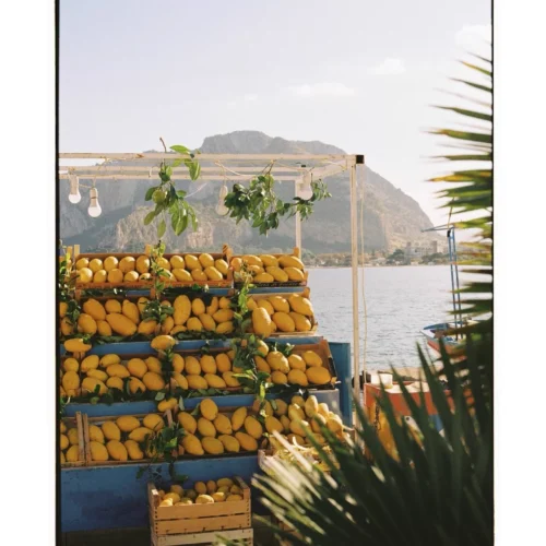 Preset Classic Film Vintage – 39 Tông Màu Film Retro Cho Lightroom (XMP)