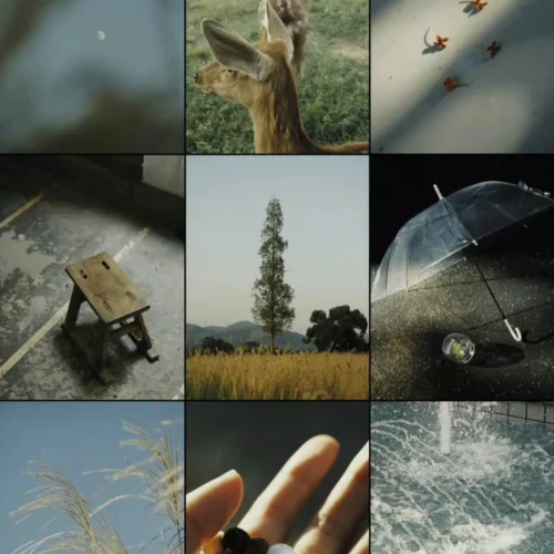 shopthietke com Shopthietke.com 236