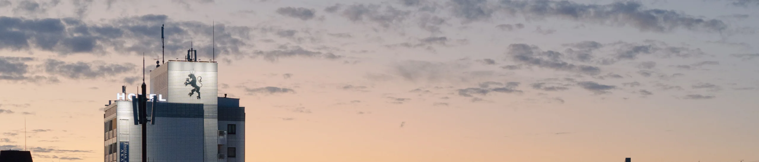 shopthietke com Shopthietke.com 266 scaled