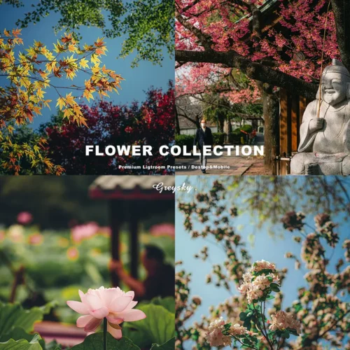 128 Preset Film Tone Chuyên Nghiệp Cho Lightroom & Photoshop –  Hot Trên Rednote (XMP/DNG)