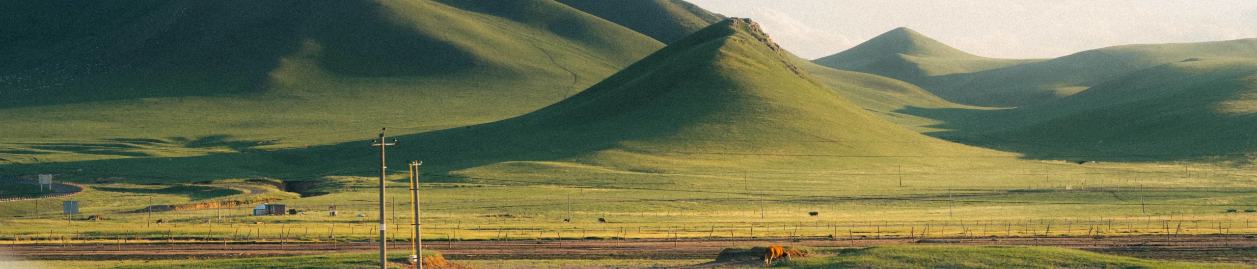 shopthietke com Shopthietke.com 283 scaled