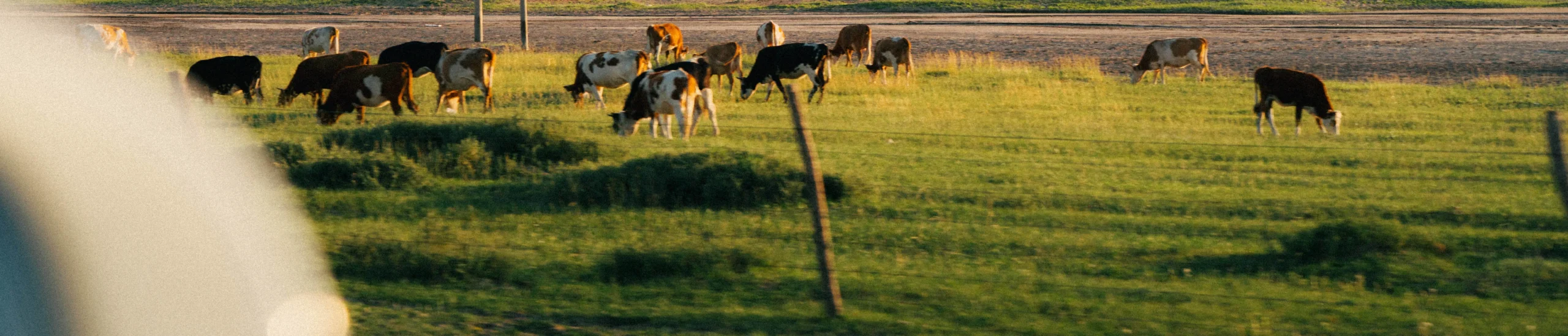 shopthietke com Shopthietke.com 284 scaled