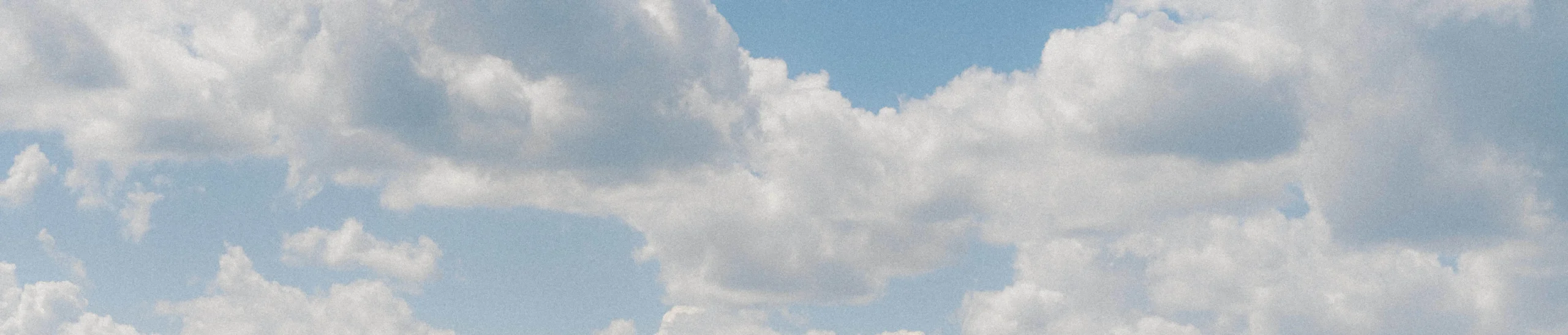 shopthietke com Shopthietke.com 286 scaled