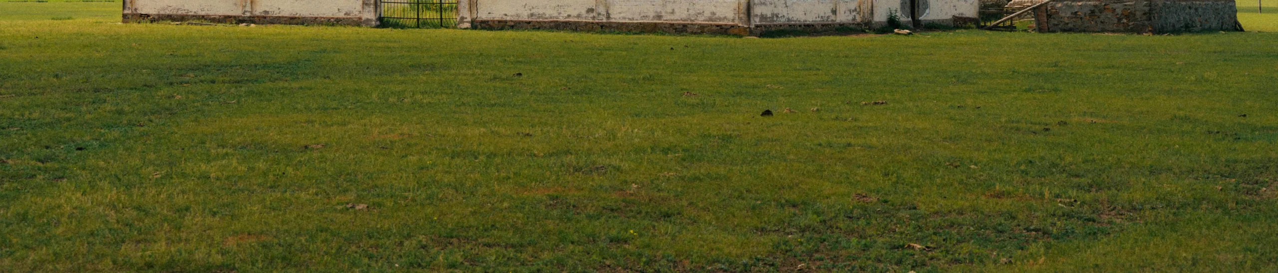 shopthietke com Shopthietke.com 288 scaled