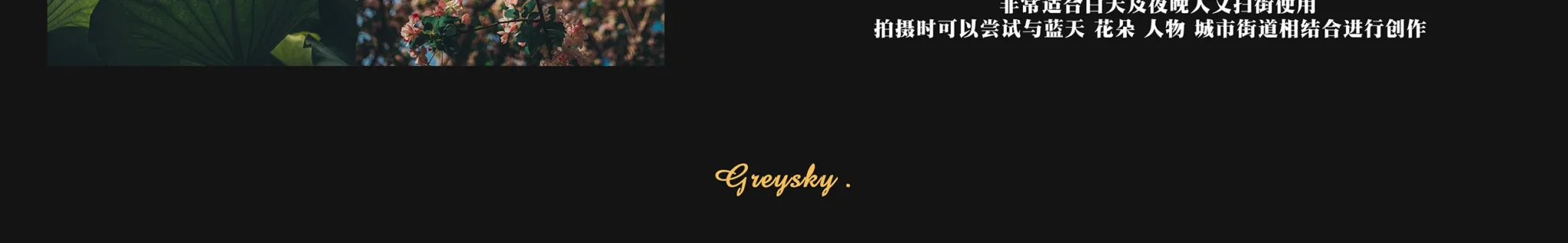 shopthietke com Shopthietke.com 29 scaled