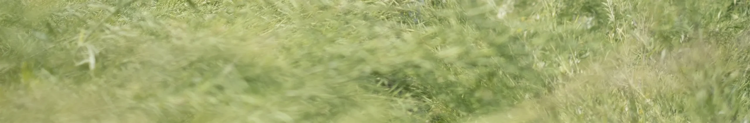 shopthietke com Shopthietke.com 299 scaled