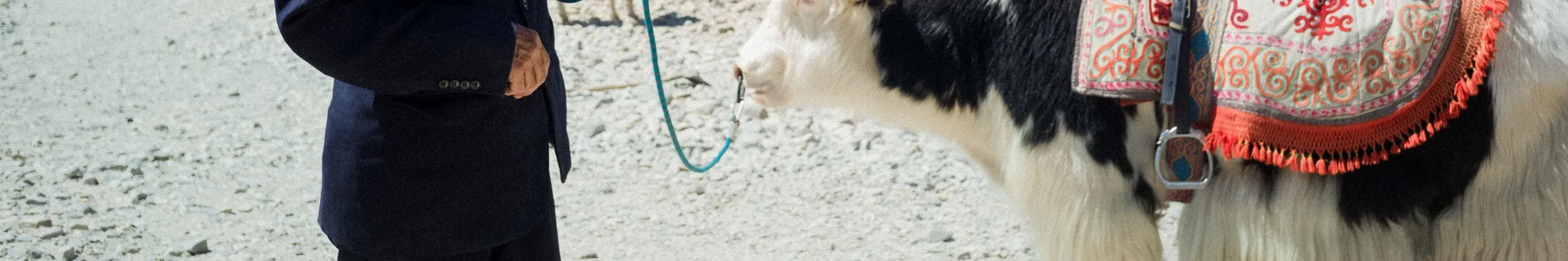 shopthietke com Shopthietke.com 313 scaled