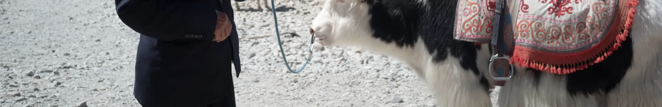 shopthietke com Shopthietke.com 315 scaled