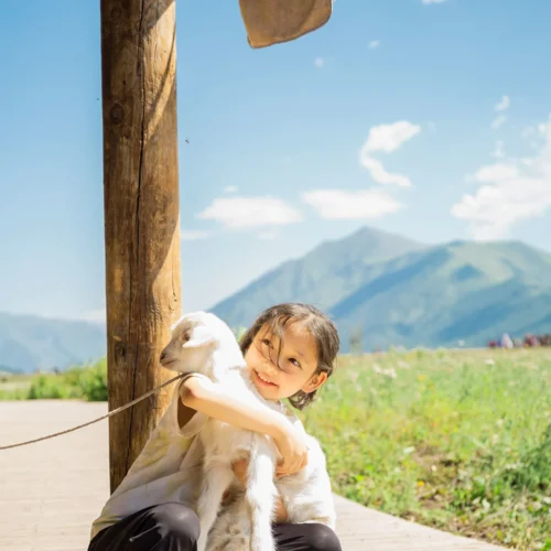 shopthietke com Shopthietke.com 320