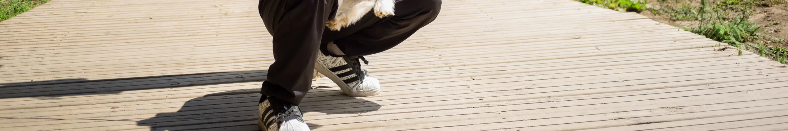 shopthietke com Shopthietke.com 321 scaled