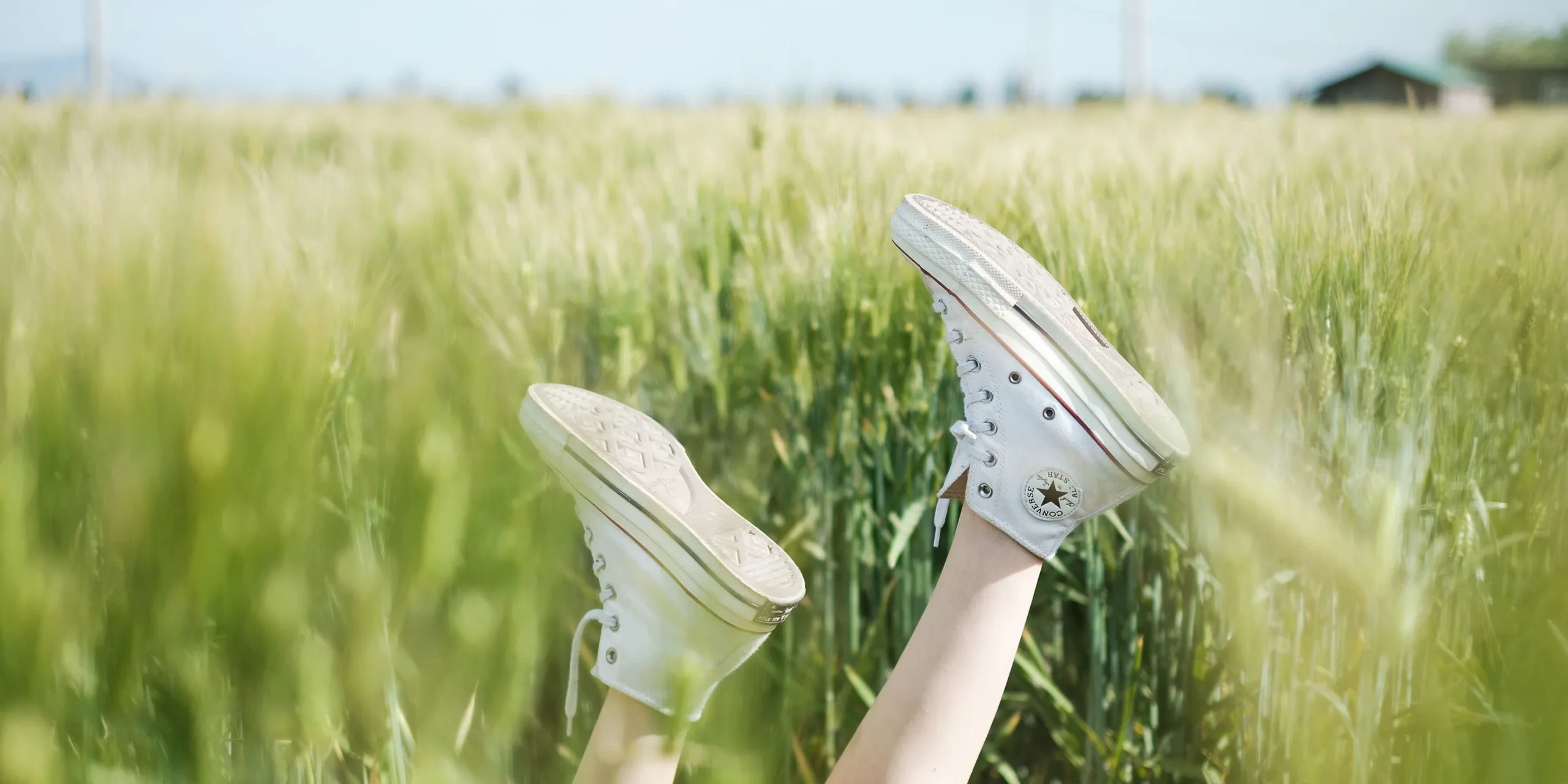 shopthietke com Shopthietke.com 322 scaled